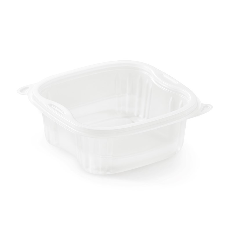555ml Clear pp tray - euro pal