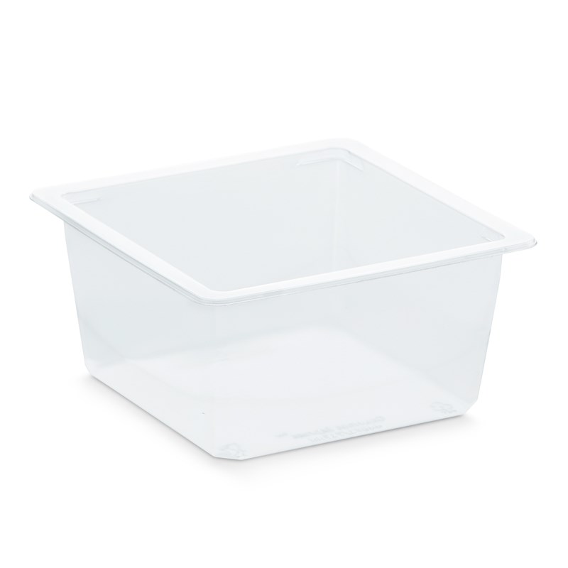 717ml Clear dpet tray - bulk transpac