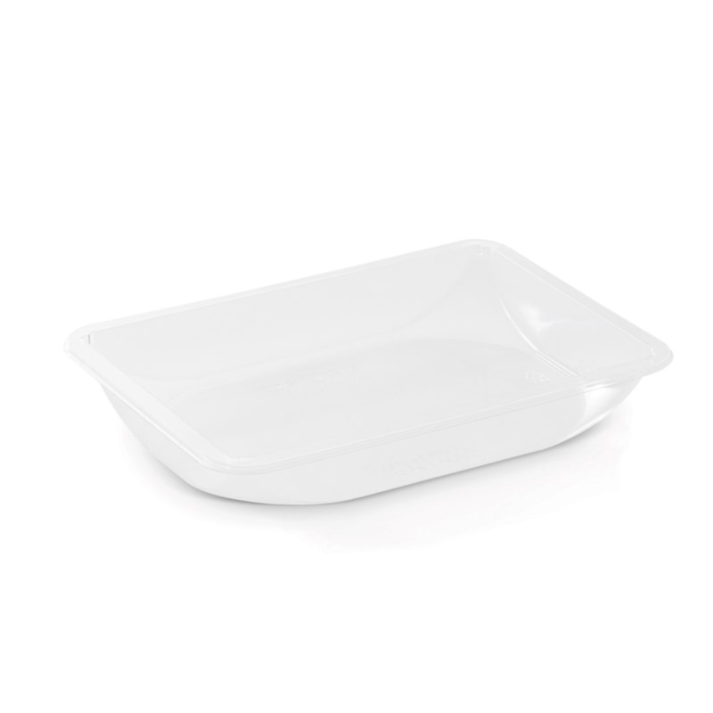 260ml Clear dpet tray - euro pal
